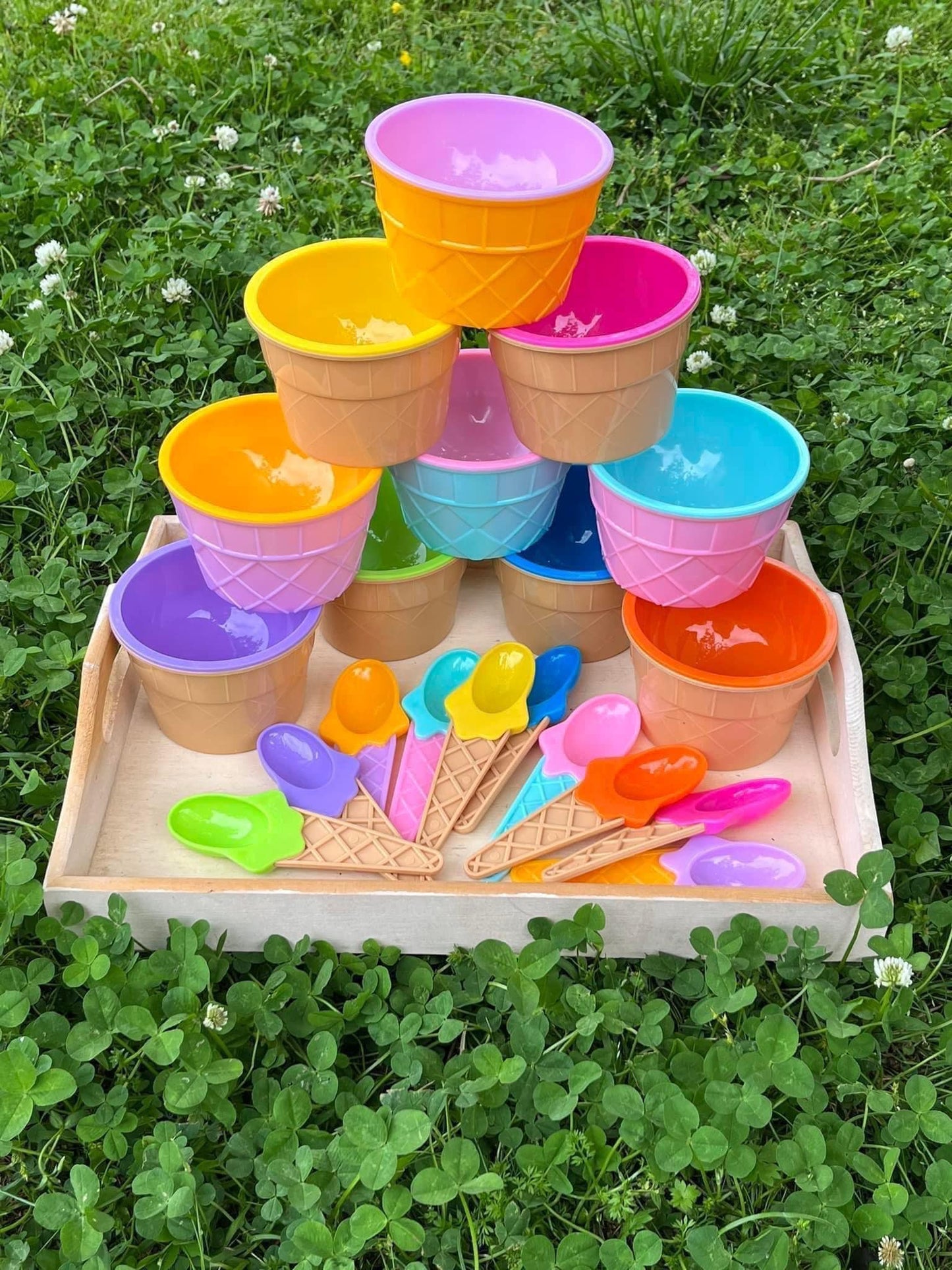 Ice Cream bowl with matching spoon