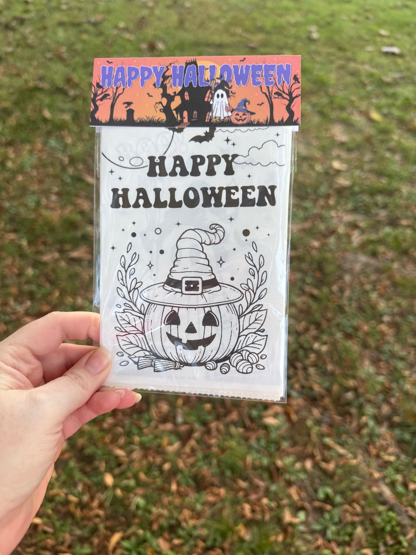 Holiday Themed Coloring Sticker Packs